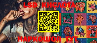 стаф Берёзовский