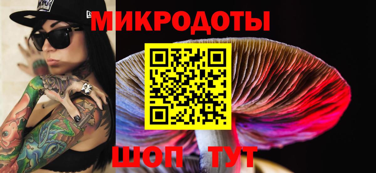 Галлюциногенные грибы Psilocybe Великий Новгород